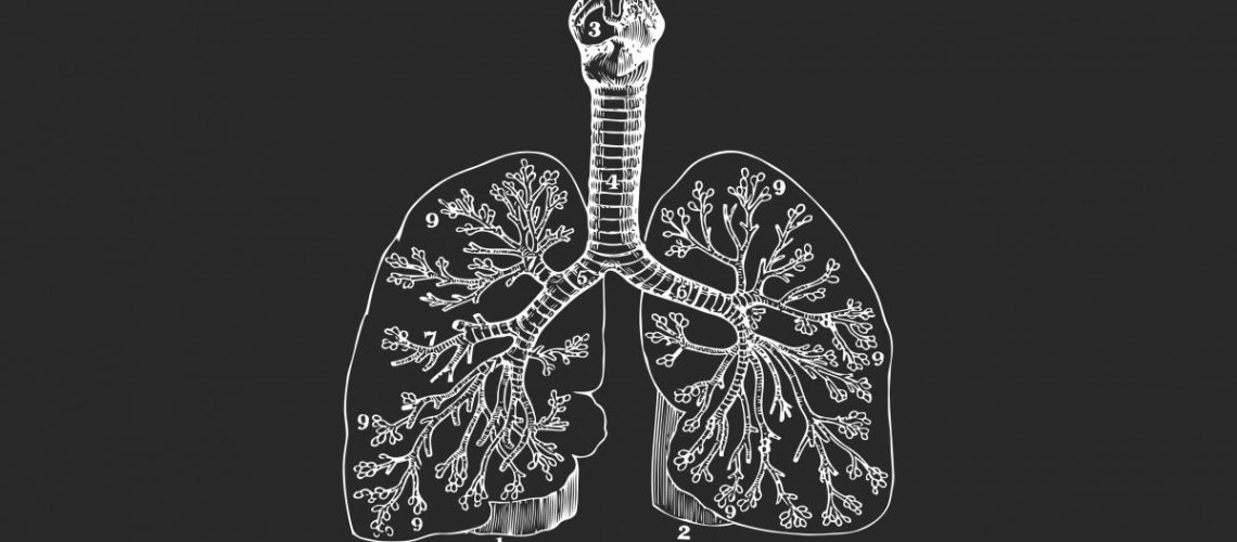 Lunge